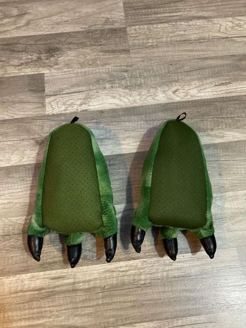 Dino slippers